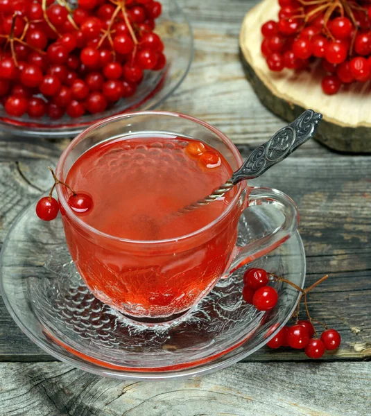 Heißer Viburnum Tee Einer Transparenten Tasse Mit Henkel Und Untertasse — Stockfoto