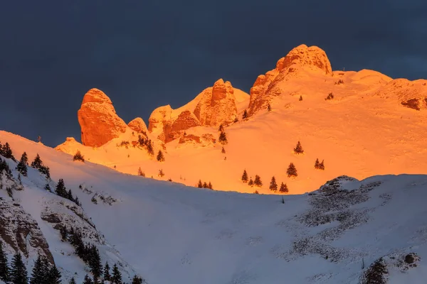 Vrchol Hory Zimě Ciucas Mountains Rumunsko — Stock fotografie