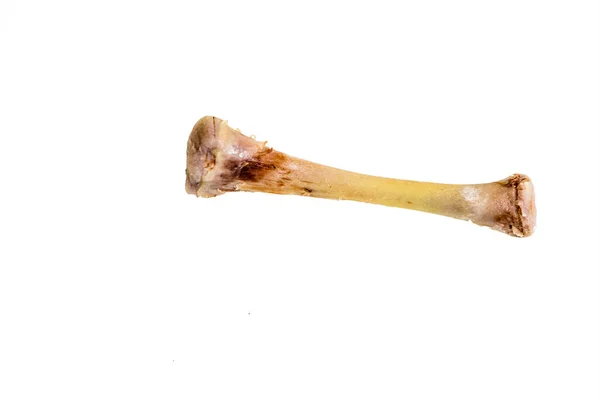 Куряча Кістка Ноги Сфотографована Білому Тлі — стокове фото