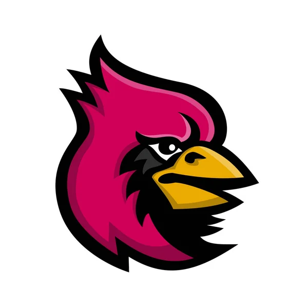 Mascot Icon Illustration Head Cardinal Cardinalidae Family Passerine Bird Found — 图库照片