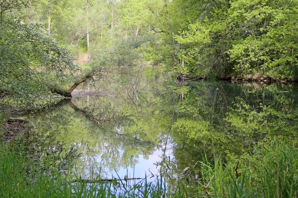 Grön Tunnel Floden — Stockfoto