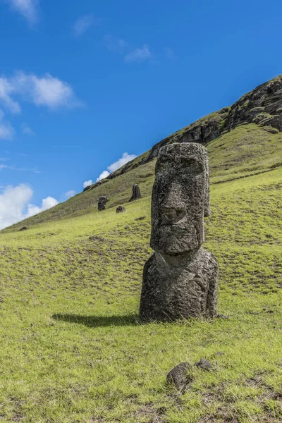 Γκρο Πλαν Ενός Moai Στέκεται Πάνω Στο Λόφο Rano Raraku — Φωτογραφία Αρχείου