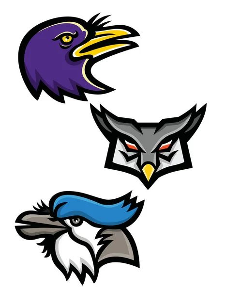 Ícone Mascote Ilustração Conjunto Cabeças Pássaros Americanos Como Corvo Americano — Fotografia de Stock