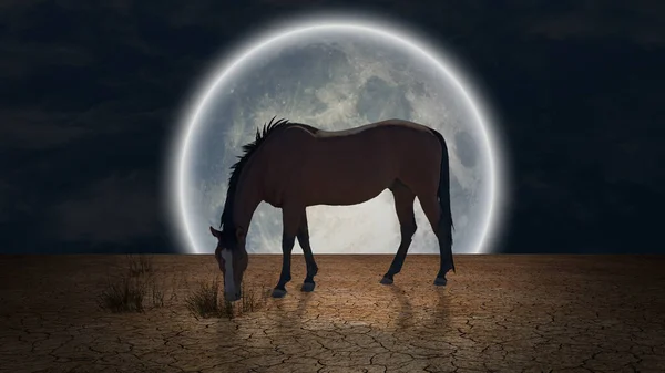 Surrealismo Cavalos Pastam Terras Áridas Lua Gigante Horizonte — Fotografia de Stock