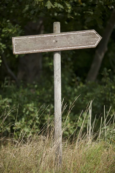 blank wooden signpost outdoor. the signpost looks like an arrow, vintage look, longterm outside. background is forest out of focus.