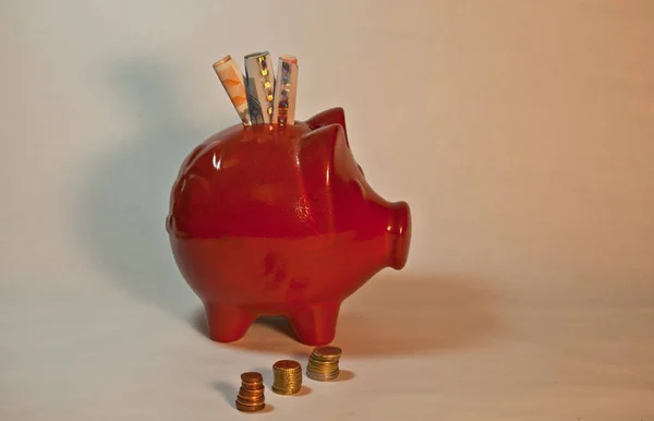 Piggy Bank Money Saving — Stock Photo, Image