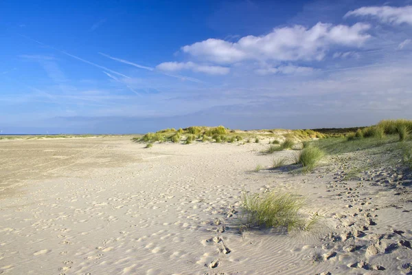 Dűnék Renesse Zeeland Hollandia — Stock Fotó