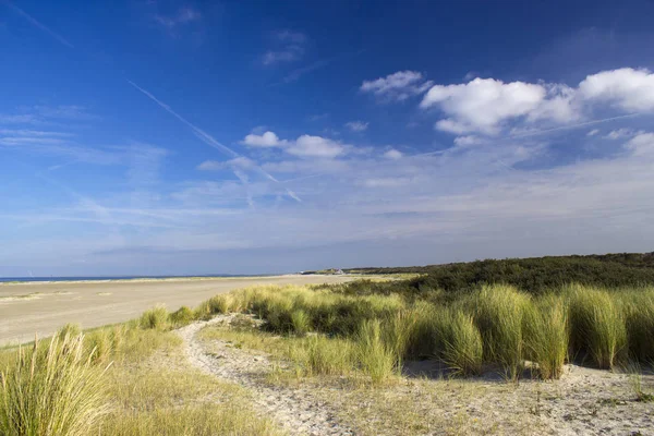 Dűnék Renesse Zeeland Hollandia — Stock Fotó