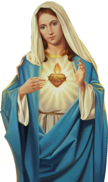 Neposkvrněné Srdce Lady Mary Svaté Víry Náboženství Ilustrace — Stock fotografie