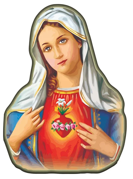 Leydi Mary Nin Kusursuz Kalbi Kutsal Inanç Dini Anne Illüstrasyonu — Stok fotoğraf