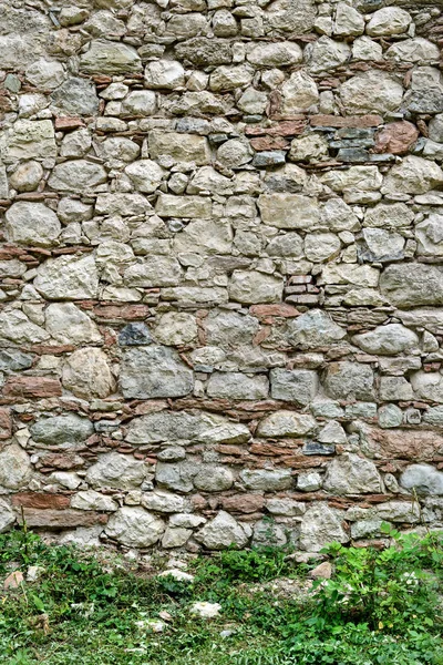 Vieux Mur Pierre Avec Des Plantes Sauvages Premier Plan — Photo