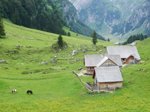 Malerischer Blick Auf Schöne Natur Berglandschaft — Stockfoto