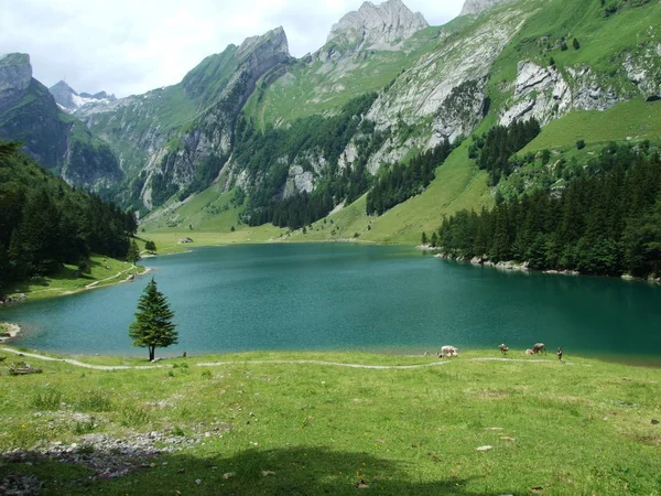 Paisaje Montaña Con Lago Montañas —  Fotos de Stock