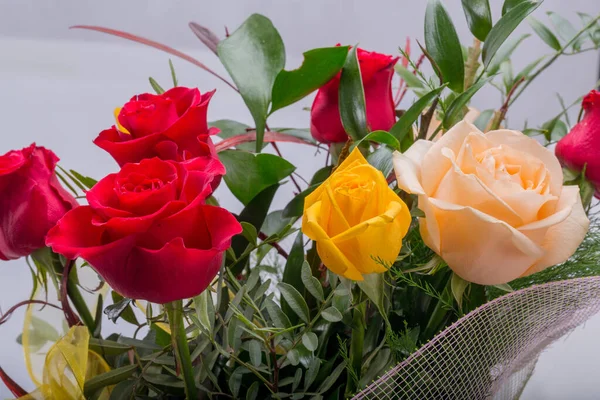 Buquê Rosas Multicoloridas Sortidas Isoladas Fundo Branco — Fotografia de Stock