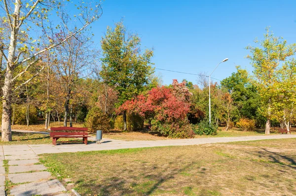 Parque Público Ciudad Día Soleado Otoño Ciudad Kherson Ucrania — Foto de Stock