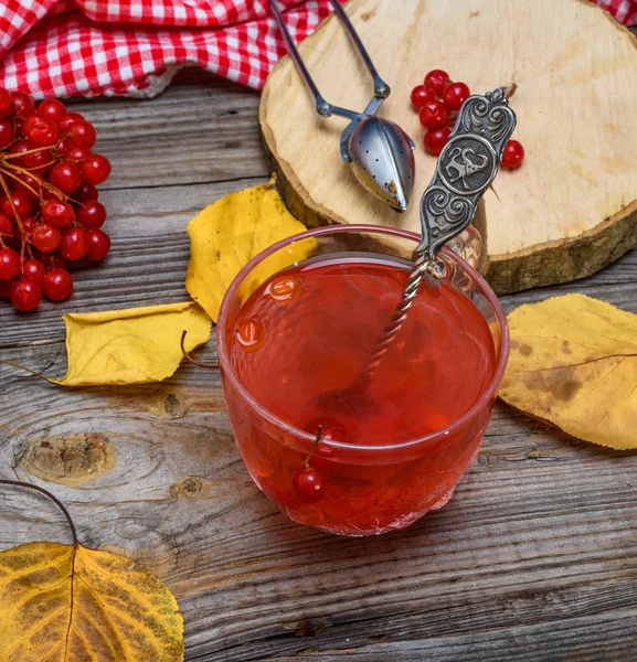 Tea Viburnum Berries Transparent Glass Cup Gray Wooden Background Top — Stock Photo, Image