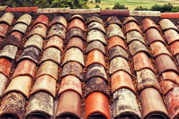 Roof Titles Have Lot Leafs Close — Stock Photo, Image