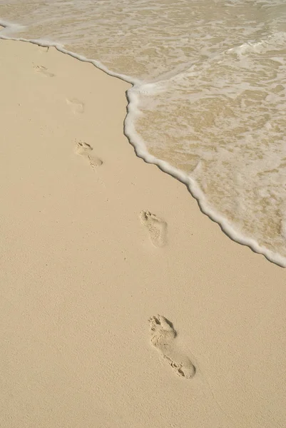 México Huellas Playa Del Carmen — Foto de Stock