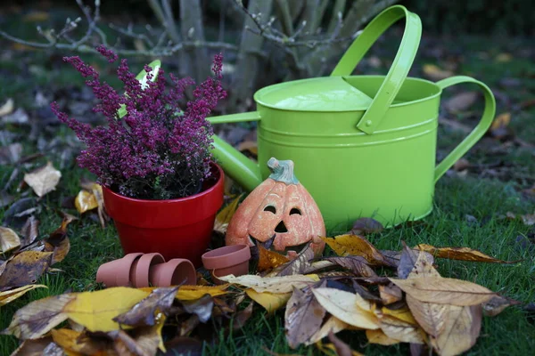 Olla Verde Con Brezo Calabaza Hojas Otoño — Foto de Stock