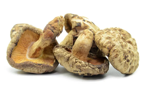 Cogumelos Shiitake Secos Isolados Sobre Fundo Branco — Fotografia de Stock