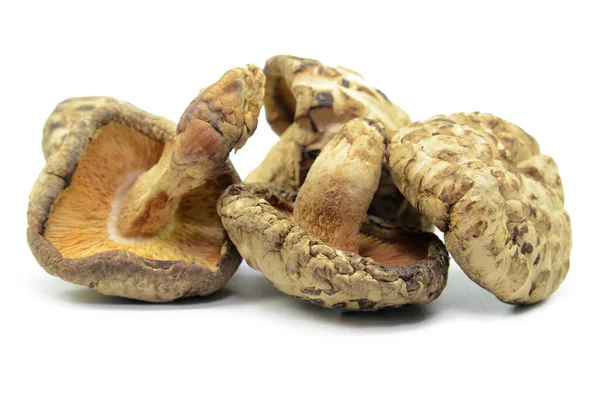 Torkade Shiitake Svamp Isolerad Vit Bakgrund — Stockfoto