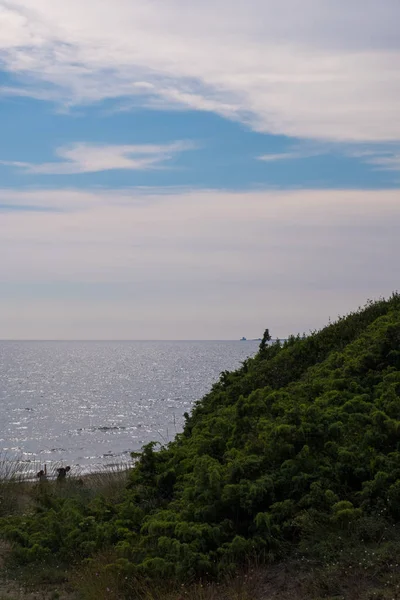 在夏日的绿色沙丘的背景下 用蓝天和太阳向自然垂直的海水景观 没有人 — 图库照片