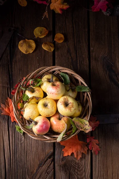 Pommes Bio Fraîches Savoureuses Dans Panier — Photo