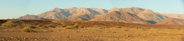 Brandberg Berget Namib Öken Soluppgång Landskap Namibia Afrika Vildmark — Stockfoto