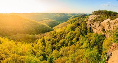 Panoramic view from the ridge top at Red River Gorge in Kentucky clipart