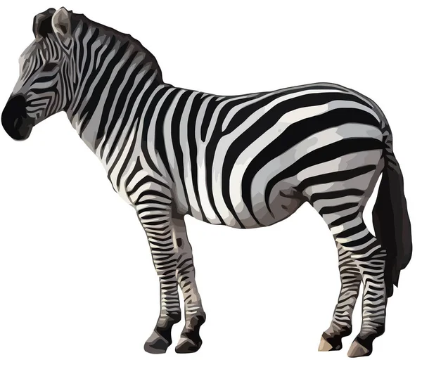 Zebra Animal Selva Vida Selvagem Africano Exótico Pele Listra Ilustração — Fotografia de Stock