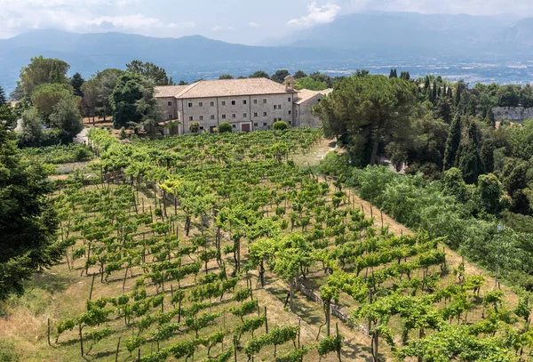 Viñedo Cerca Del Monasterio Monte Cassino Italia —  Fotos de Stock