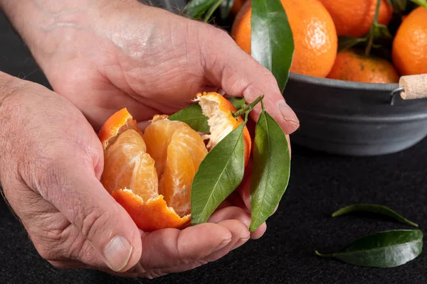 Eine Nahaufnahme Der Hände Mit Einer Clementine — Stockfoto