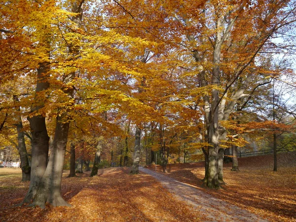 Autumn Mood Meadow — Stock Photo, Image