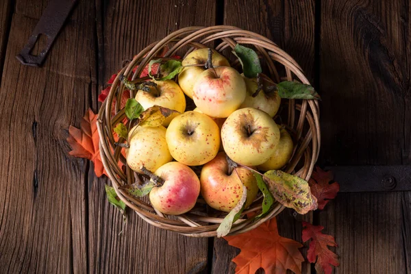 Pommes Bio Fraîches Savoureuses Dans Panier — Photo