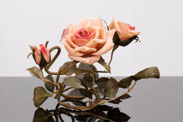 Närbild Vackra Blommande Blommor — Stockfoto