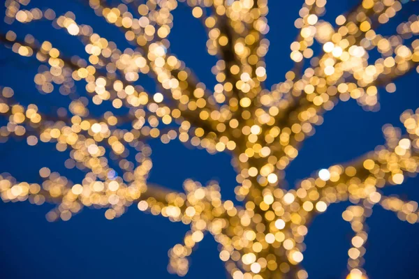 Unscharfe Goldene Lichter Weihnachtsbaum Und Dunkel Draußen — Stockfoto