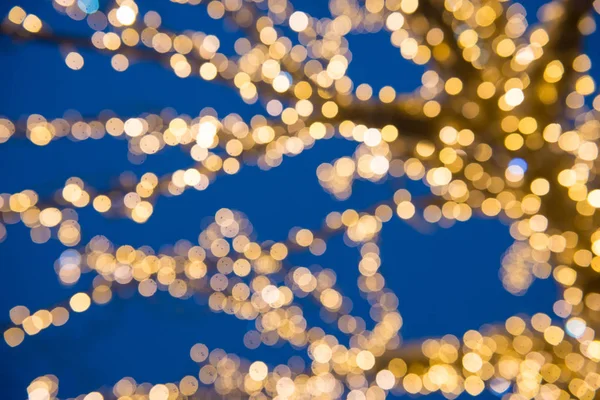Unscharfe Goldene Lichter Weihnachtsbaum Und Dunkel Draußen — Stockfoto