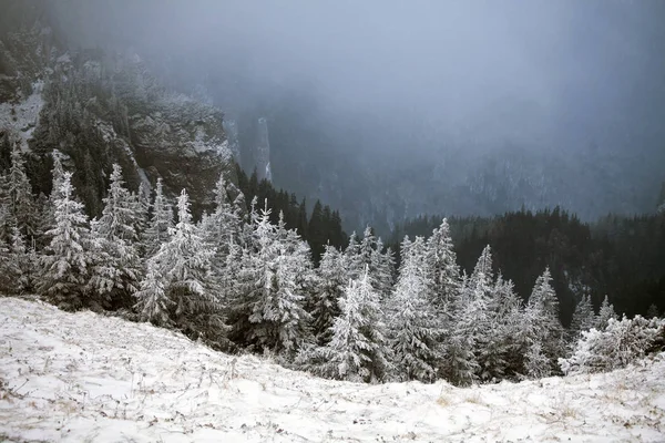 Kerstmis Nieuwjaar Achtergrond Met Winter Bomen Bergen Bedekt Met Verse — Stockfoto