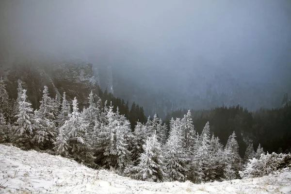 Kerstmis Nieuwjaar Achtergrond Met Winter Bomen Bergen Bedekt Met Verse — Stockfoto