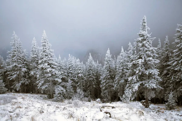 Fundo Natal Ano Novo Com Árvores Inverno Montanhas Cobertas Neve — Fotografia de Stock