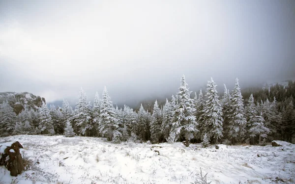 Weihnachten Und Neujahr Hintergrund Mit Winterbäumen Bergen Mit Neuschnee Bedeckt — Stockfoto