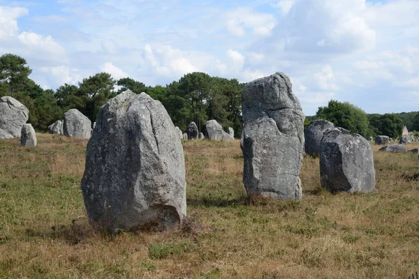 Moai Standbeeld Het Archeologisch Museum Van Engeland — Stockfoto