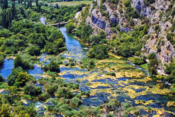 Ağaçlar Yeşil Sarmaşıklar Akan Nehir Kanat Tarafından Büyümüş Hırvatistan — Stok fotoğraf