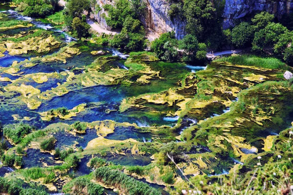 Ağaçlar Yeşil Sarmaşıklar Akan Nehir Kanat Tarafından Büyümüş Hırvatistan — Stok fotoğraf