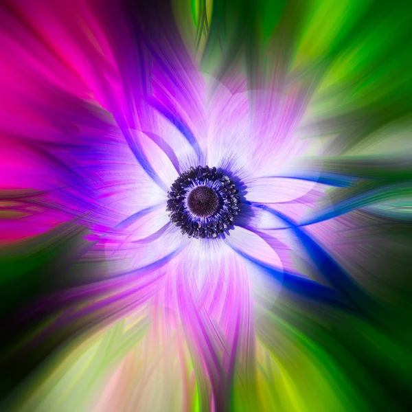 Colorful Abstract Twirl Effect Background Flower — Stock Photo, Image