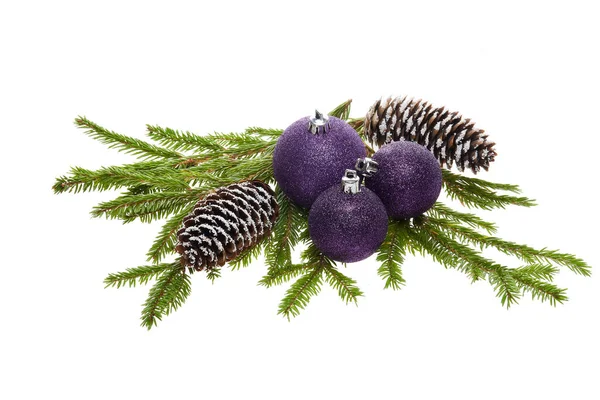 白い背景に孤立した紫色の輝くボール コーン モミの木の枝でまだ生活しています 新年とクリスマスの飾り — ストック写真