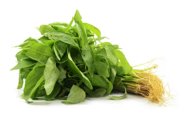 Fresh Chinese Spinach Isolated White Background — Stock Photo, Image