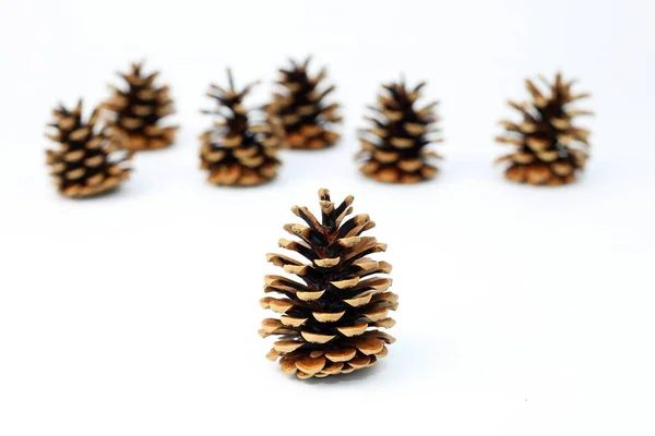 Decoração Natal Com Cones Pinho — Fotografia de Stock