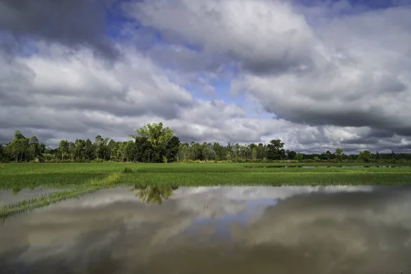 Paisagem Com Água Parada Nuvens Cumulus — Fotografia de Stock