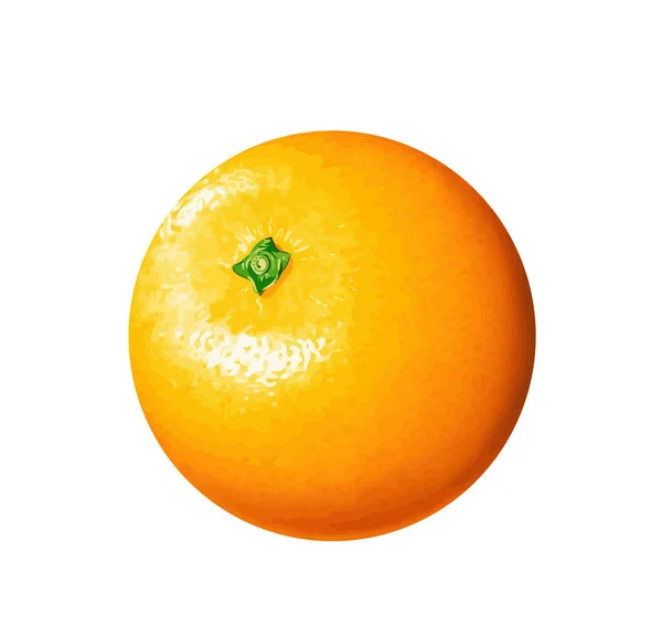 Laranja Redondo Frutas Citrinos Vitamina Ilustração — Fotografia de Stock